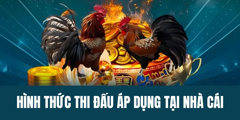 Hình thức thi đấu áp dụng tại nhà cái